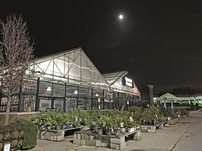 Greenhouse at Lowe's in Arlington Heights, 990 West Algonquin Road Arlington Heights